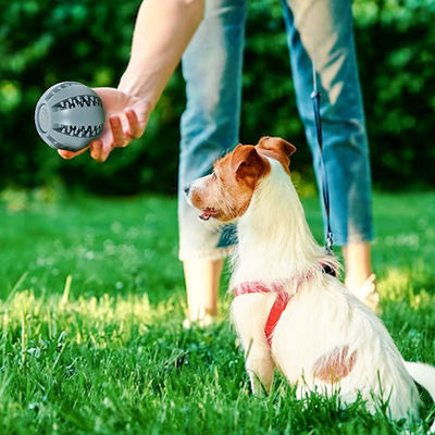 Giocare giocattoli per cani Palla di silicone per la pulizia interattiva dei denti e la distribuzione di cibo per perdite