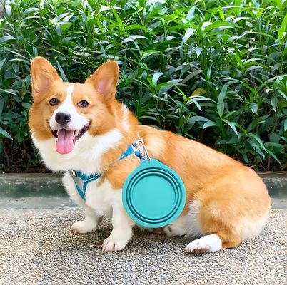Ciotola in silicone per animali da compagnia per il cibo lento e l'acqua potabile durante le avventure all'aperto