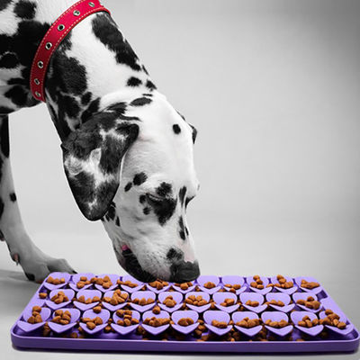 Silicone Slow Feeders Snuffle Mat Primo campione per la resistenza alla temperatura libera -40 a 250